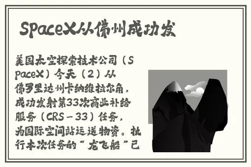 99精品久久久久中文字幕